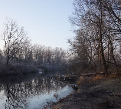Winter Morning along Somonauk Creek 