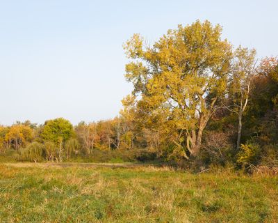 Willow Creek Floodplain 