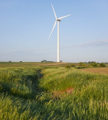 Ravine and Wind Turbine 