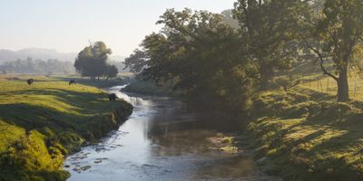 Pasture along Plum River 