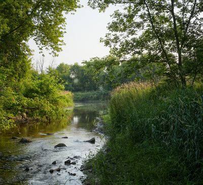 River and Slough Confluence 