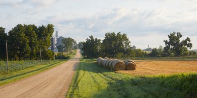 Bailed Wheat Straw 