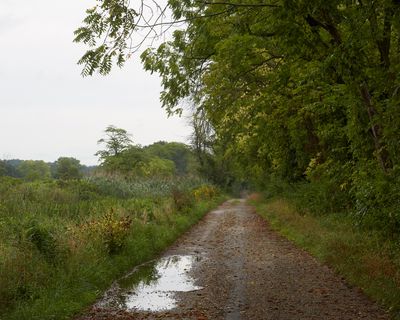 Rainy Day Path 