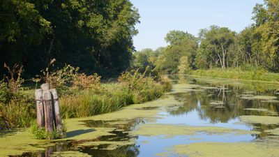 Upstream from Lock 21 