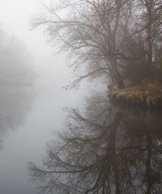Fog at the Fishing Hole 