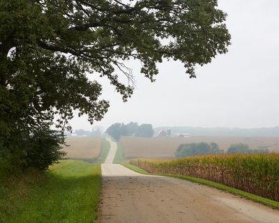 Hay Road, Early Autumn