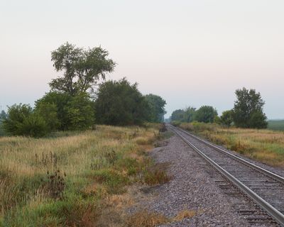 Along the Spur in August