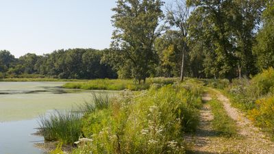 West Edge of Gremel Main Pond 