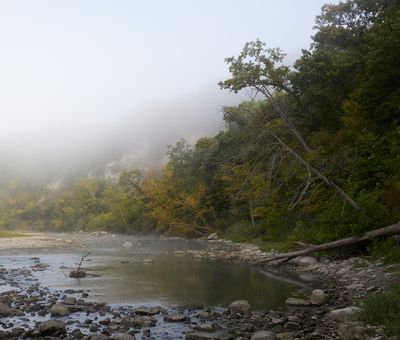 Cutbank and Fog 