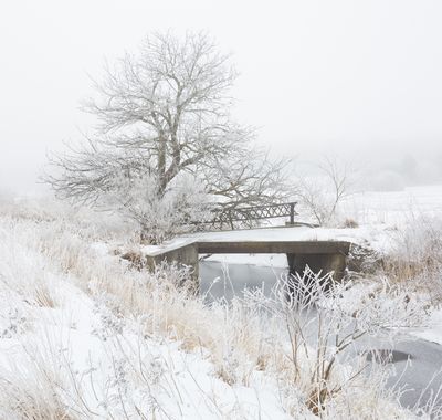 Old Field Bridge and Snow 
