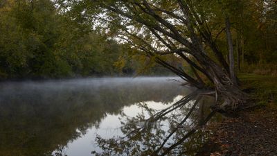 Dawn River Mist 