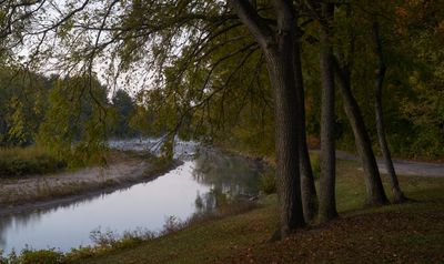 Under the Walnut Trees, October 