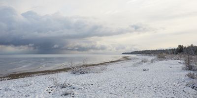 Departing Snowshower 