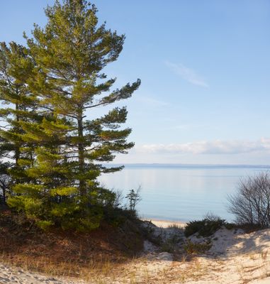 Calm Warm Morning in the Dunes 