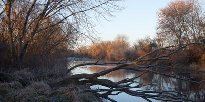 Early Morning Late Autumn