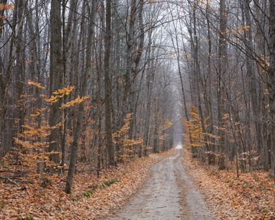 Pinney Bridge Road 