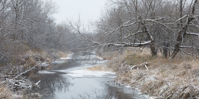 Fresh Snow 