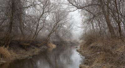 Lee Slough with Winter Fog