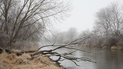 Morning Fog along the Kish 