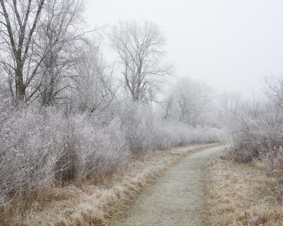 Frosty Path 
