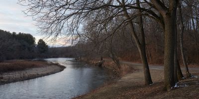 Under the Walnut Trees, January 