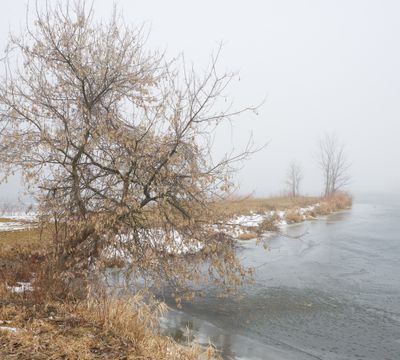 Lakeshore Ice and Fog 
