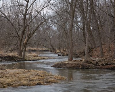 Winding through the Floodplain 