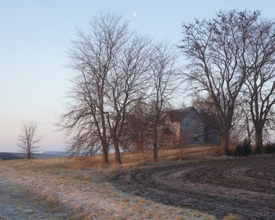 Daybreak along Crego Road 