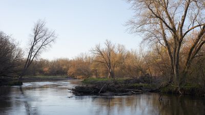 Early Spring Morning in the Floodplain 