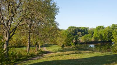 River Path 