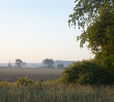 Beyond the Hedge