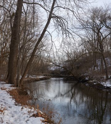 Snow along Somonauk Creek