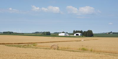 Wheat Field with Hay Bales