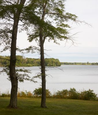 Evergreen Lake Shoreline