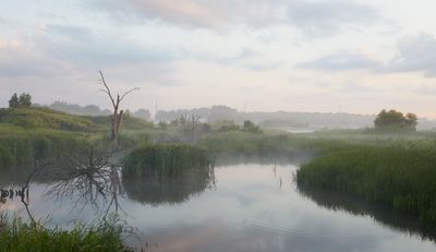 Rising Morning Mist
