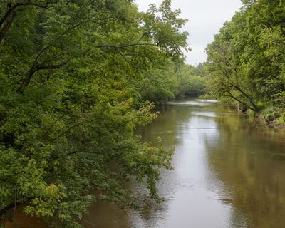Foliage along the Kishwaukee River 