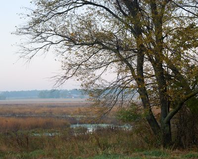 East of Pleasant Hill Road