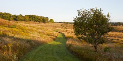 Winding Trail at Bald Hill Prairie