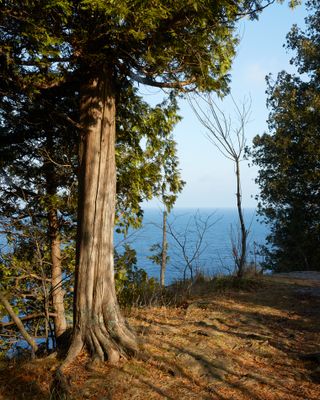Bluff View of the Lake