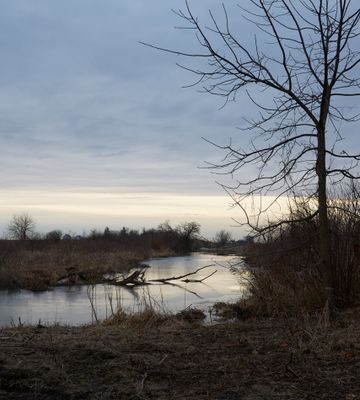 Cold Daybreak