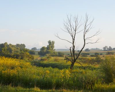 Late Summer along Battle Creek
