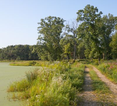 Edge of Main Pond at Gremel