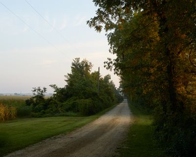 Down the Lane