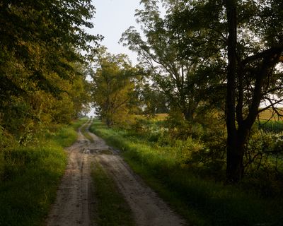 Late Summer Woodlawn Road
