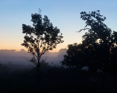 Dawn Silhouette