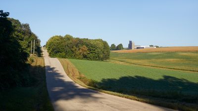 Alfalfa Beans and Corn