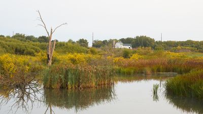 Hazy Morning at Little Rock Creek