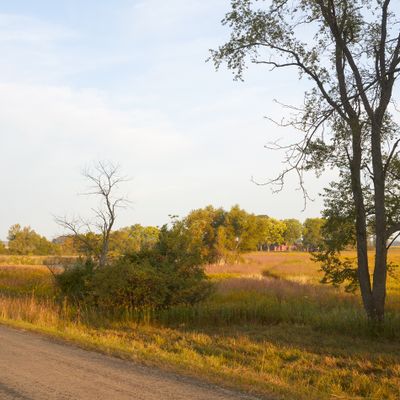 Nearing Autumn Along Lewis Road