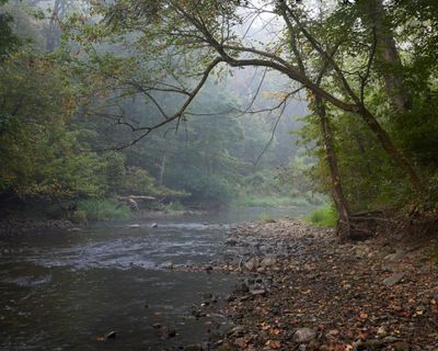 Light Morning Fog at Little Rock Creek