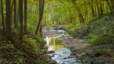 Parfrey's Glen Creek